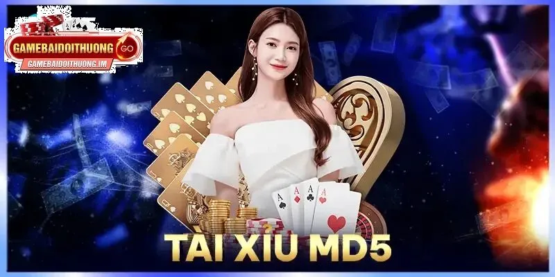 Giới thiệu về Tài Xỉu MD5