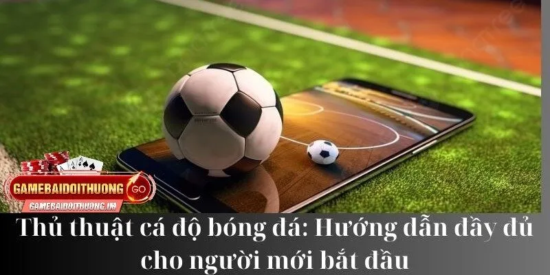 Hướng dẫn cơ bản về cá độ cho người mới bắt đầu