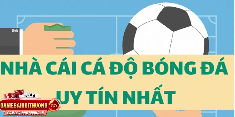 Top trang cá độ bóng đá uy tín