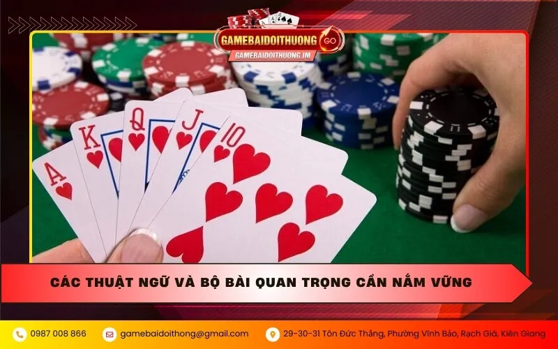 cac thuat ngu va bo bai quan trong can nam vung Các thuật ngữ và bộ bài quan trọng cần nắm vững