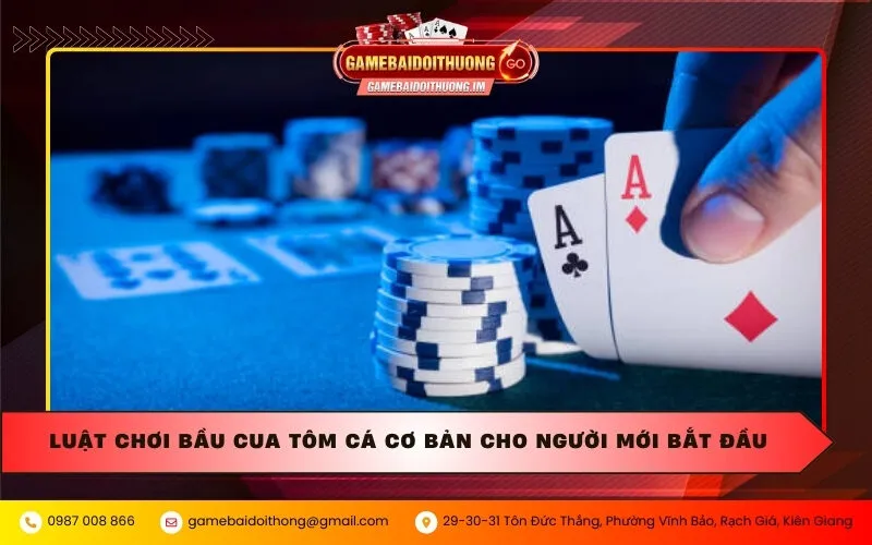 Luật chơi Xì Tố 5 cây cơ bản cho người mới